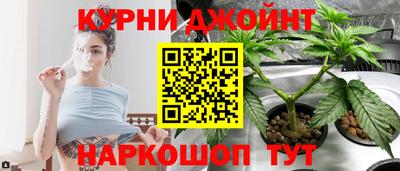 PSILOCYBIN Боровичи