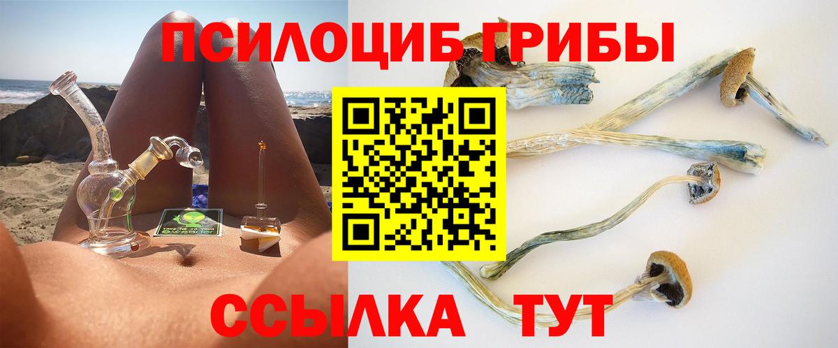 Псилоцибиновые грибы Psilocybe Ижевск